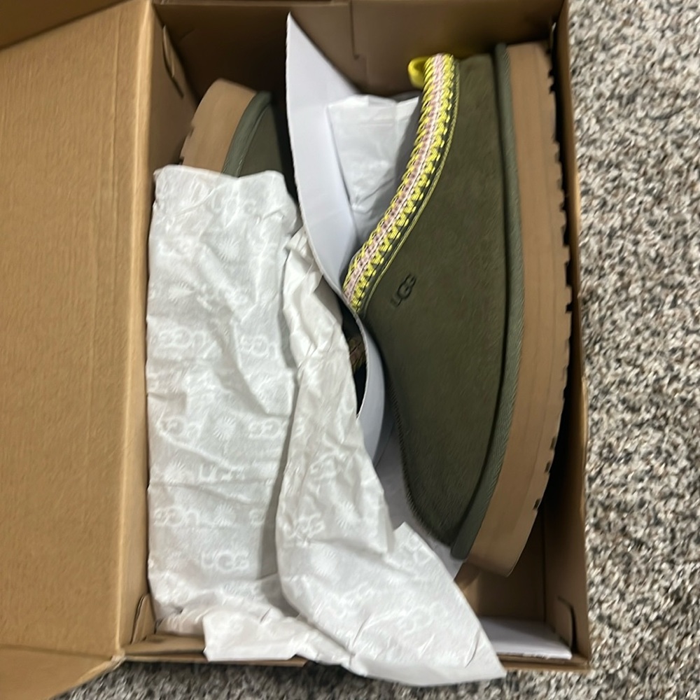 BRAND NEW UGG TAZZ SLIPPER
